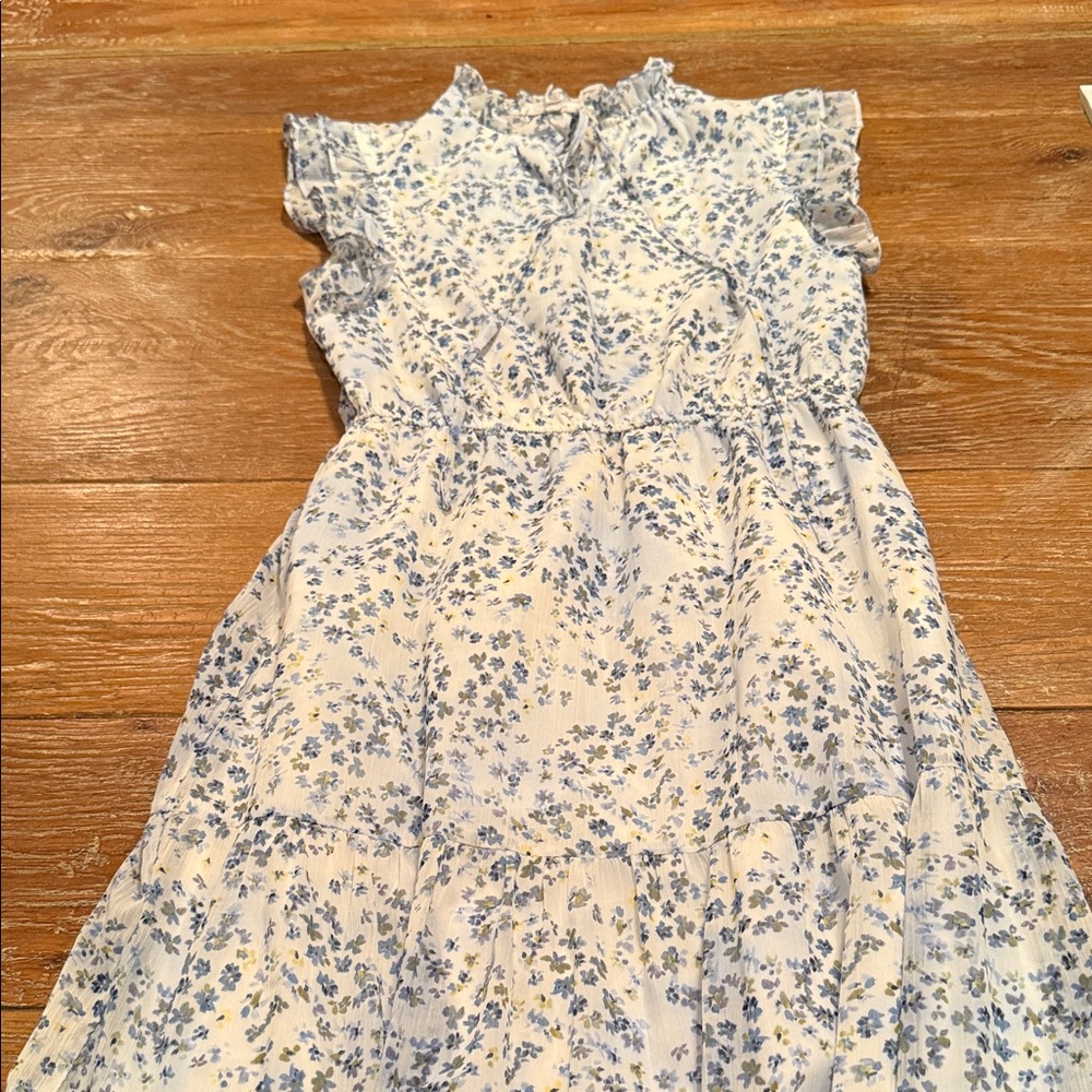 BB Dakota by Steve Madden Blue and White Floral Maxi Dress